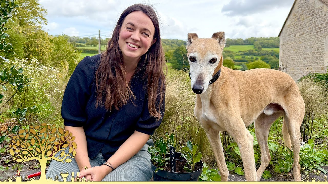 Gardeners' World Winter Specials 2025/26 Ep1 | Winter Gardening Inspiration