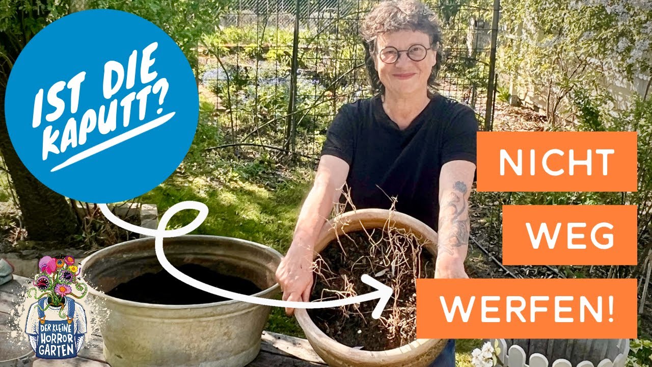 Wie DU ALTE Kübel-Erde aufarbeiten und WIEDERVERWENDEN kannst I der kleine Horrorgarten