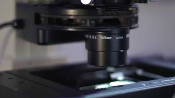 Opterra High-Speed Live Cell Imaging Multipoint Scanning Confocal Microscope