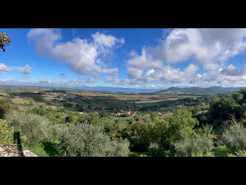 A Comedian in Italy - Sunset - Elayne Boosler