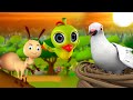 புறா எறும்பு மற்றும் கிளி தமிழ் கதை | Dove Ant and Parrot Tamil Story - ...