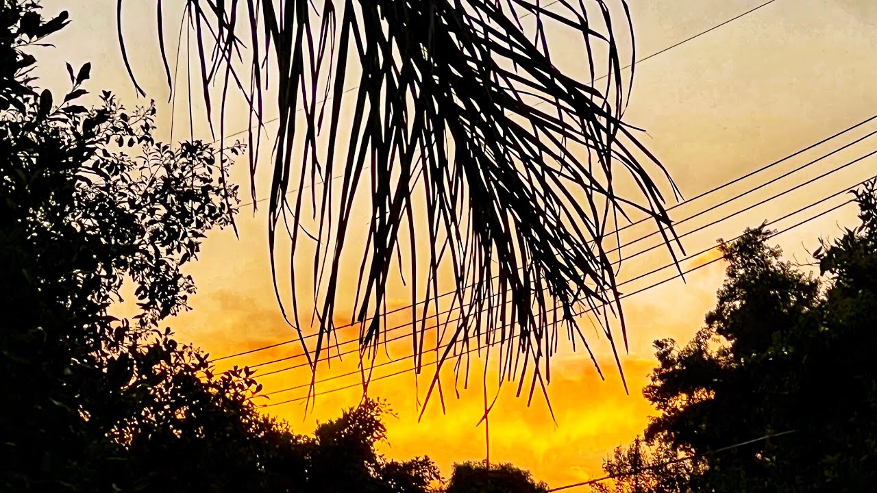 lana del rey cinnamon girl (slowed + reverb) YouTube