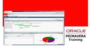 Primavera P6 Assigning Resource Codes Part 39