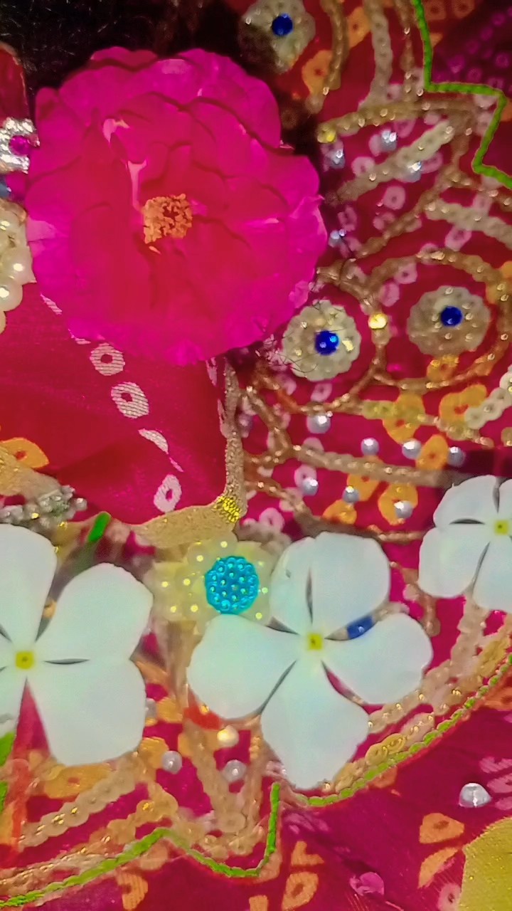 Laddu Gopal bhakti - ShareChat