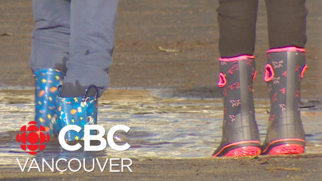 Parents speak out over a Vancouver school’s playground’s condition