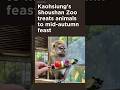Kaohsiung's Shoushan Zoo treats animals to mid-autumn feast
