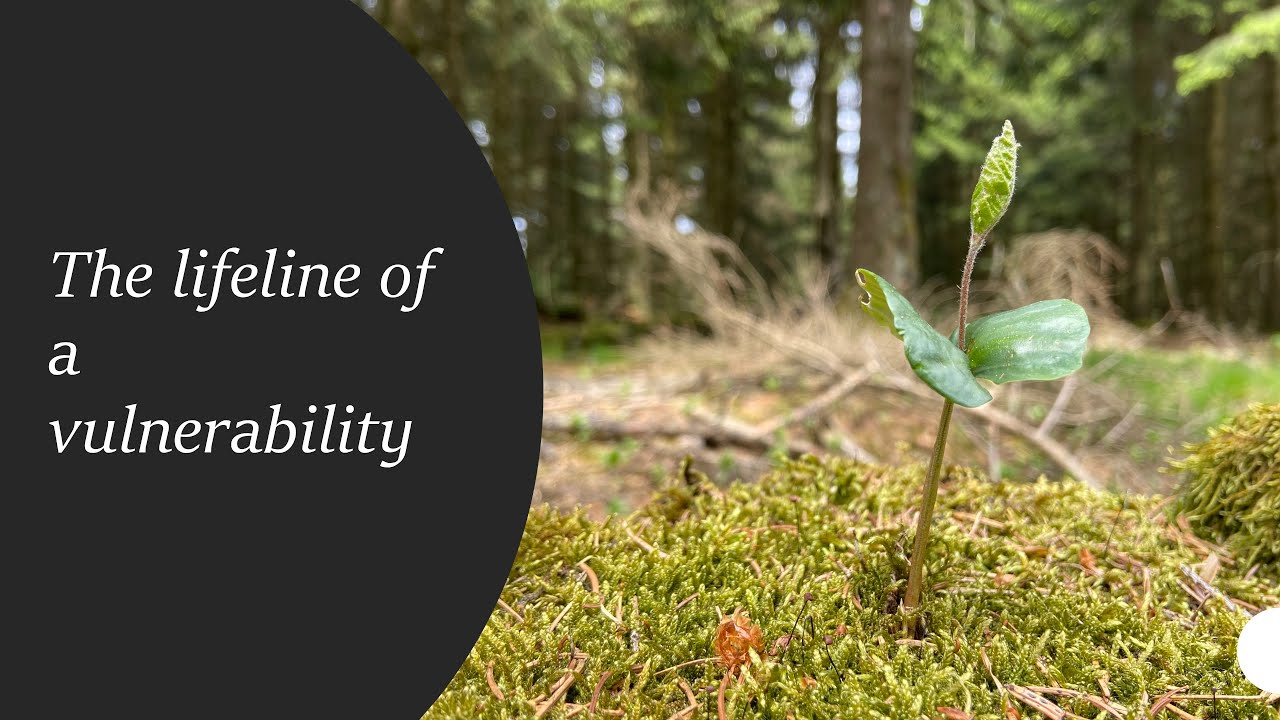 DevSecOps - The Lifeline of a Vulnerability - 4k - english - 202106