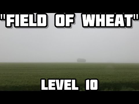 Level 10 Of The Backrooms - Field Of Wheat 