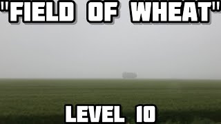Level 10: Field Of Wheat  Lanimil Corporation: Backrooms
