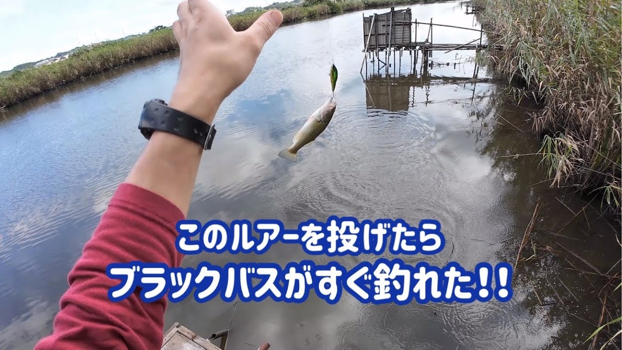 釣ってないはずが メガバスのX-80SW LBO shallow を投げたらブラックバス