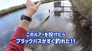 メガバスのX-80SW LBO shallow を投げたらブラックバスがすぐに釣れました!! by印旛沼中央排水路