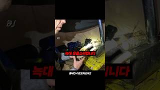 텐트 옆에서 들리는 늑대 웃음소리