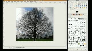 Gimp Tutorial: How to make your own brushes