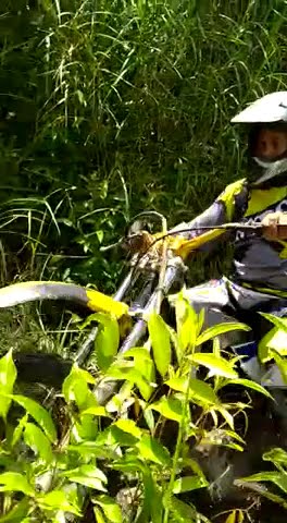 STORY WA TERBARU 2020 || STORY WA 30 DETIK || STORY WA KEREN || TRABAS HUTAN DAN LUMPUR
