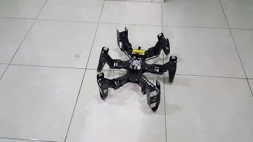 Hexapod Robot (Robo-Soul CR-6) - Movement Test
