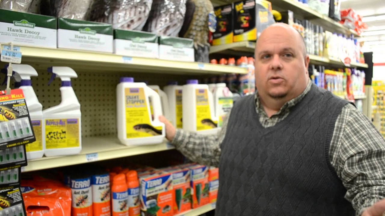 Daily Devotional Snake Stopper YouTube