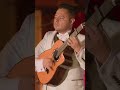 Gema por Los Dandys | Una Bohemia de Locura 🎤