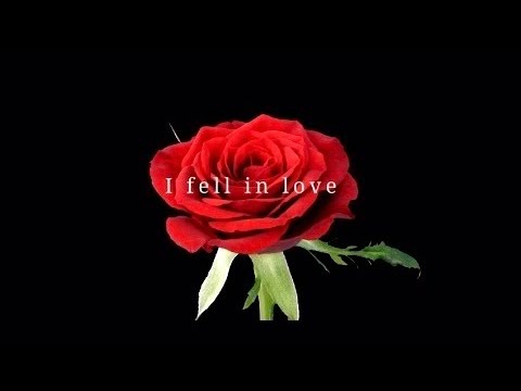 I Fell In Love 心に触れて 當間ローズ 弾き語りcover Youtube