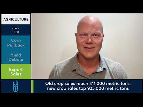 Corn futures give back post-WASDE gains on yield debate. 8/13/26