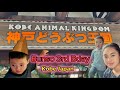 Welcome to kobe animal kingdom kobe zoo japan