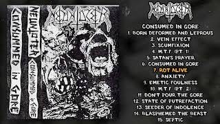 Neuntoter - Consumed In Gore Mc Full Demo 1991 - Goregrind Death Metal Grindcore