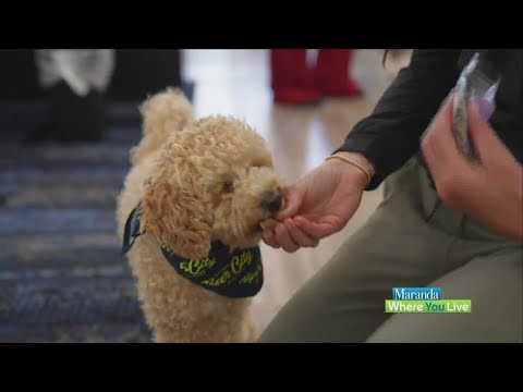 Supporting paws and people: Fifth Third Bank and Beer City Dog Biscuits make a difference