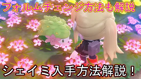 ポケモン sp グラシデアのはな シェイミ を入手できるかも ブリリアントダイヤモンド シャイニングパール Pokemon Brilliant Diamond Shining Pearl Mp3