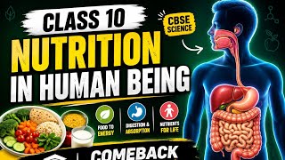 Nutrition in Human Beings Class 10 Biology | Full Detailed Notes + PYQs Tricks | Comeback Toppers
