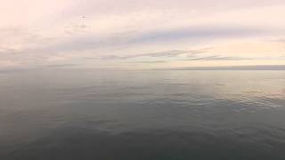 Каяк-фишинг. Дельфины. Kayak fishing. Dolphins(5 утра. Пытаюсь открыть глаза. После ночного дождя в палатке холодно и сыро. Тело совершает подвиг, встаёт..., 2015-05-11T21:26:24.000Z)