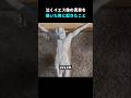 泣くイエス像の真実を暴いた男に起きたこと