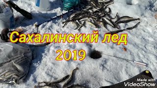 Сахалинский лед 2019