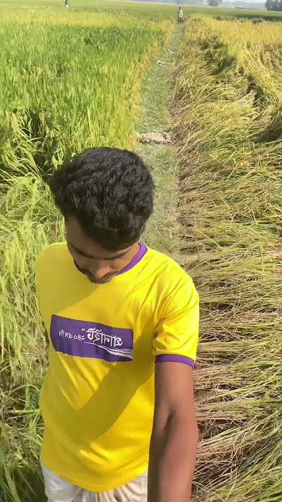 friendsip #music #dj #electronicmusic #housemusic #edm #funny #unfrez #comedy #bolleywoodsong