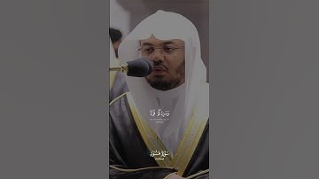 تلاوة بدبعة للشيخ ياسر الدوسري من سورة هود