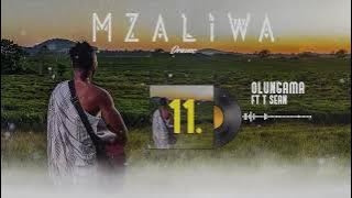 DRIEMO ft T-SEAN - OLUNGAMA ( audio visualizer)#Mzaliwa #malawi #zambia