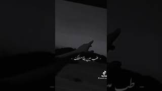 حالات واتساب هو انت تاني عايز حناني    تامر وبهاء سمعها