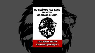 Herkes Bildiğini Sancak