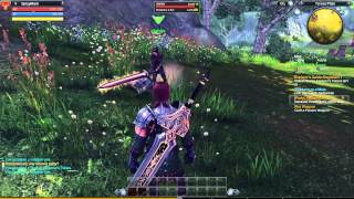 RaiderZ Online Bot Hack & Cheat