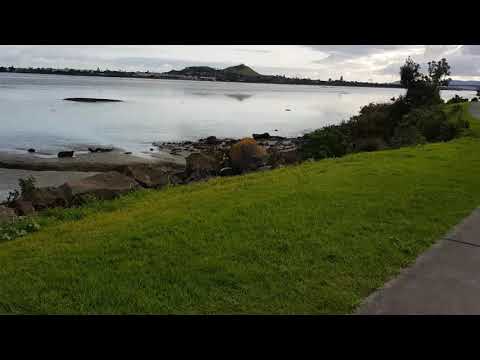 Onehunga Scooter Ride