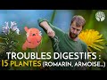 Comment soulager les lourdeurs digestives reflux les gaz la constipation avec les plantes