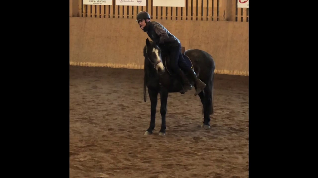 Eamon Hickey clinic feb-19 Comilfo