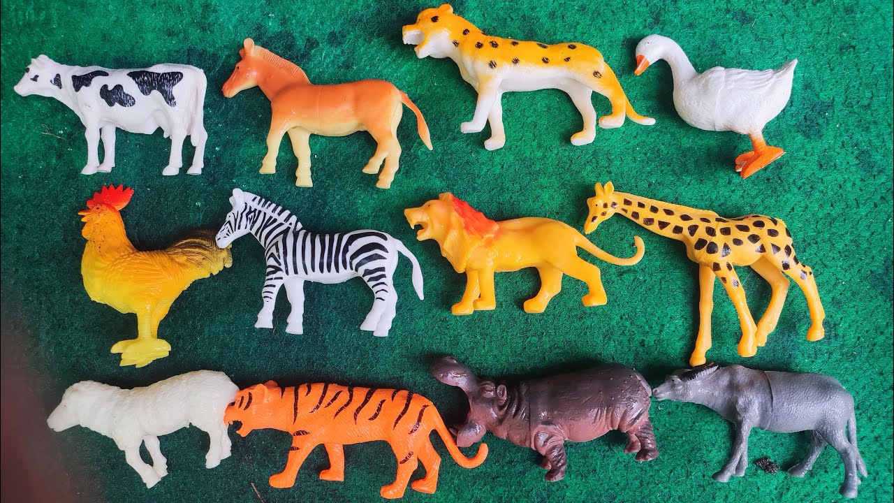 Membersihkan mainan hewan-hewan sapi, zebra, kuda, ayam, harimau, singa jerapah, !!!