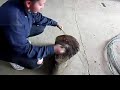 silla mecedora