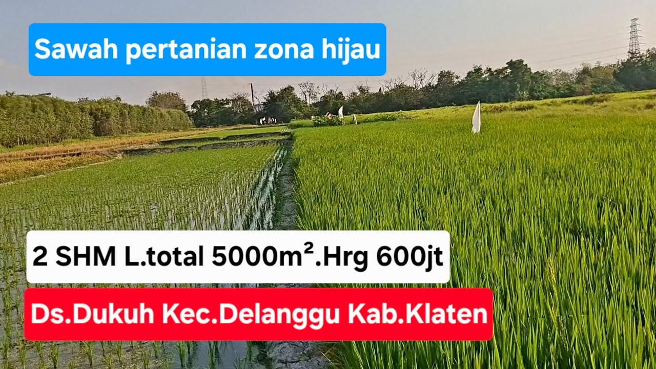 Dijual sawah pertanian zona hijau,2SHM L.total 5000m².Hrg 600jt.Lok Ds.Dukuh Kec.Delanggu Kab.Klaten