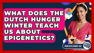 What Does The Dutch Hunger Winter Teach Us About Epigenetics? - Brain Development Hub