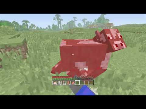 Minecraft PS3 TU14 100 Days Recording 1