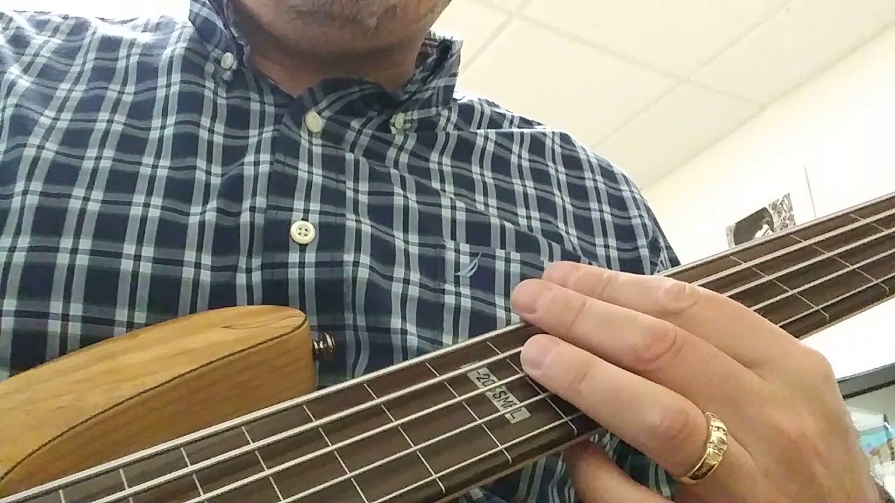 ESP B-205SMFL fretless 5 string bass