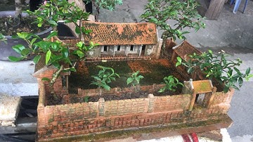 TIỂU CẢNH HỒNG NGỌC MAI TRÊN NHÀ CỔ BẮC BỘ MINI GIÁ 3 TRIỆU - CHỢ BONSAI VẠN PHÚC