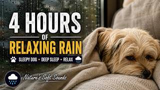 4 Hr of Relaxing Rain w/Sleepy Dog 🐾 Rain Sounds for Deep Sleep, Relaxation & Stress Relief No Music