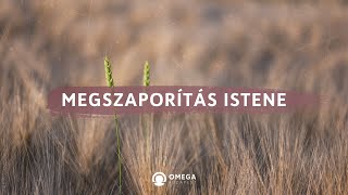 Megszaporítás Istene | Istentisztelet - Omega Budapest