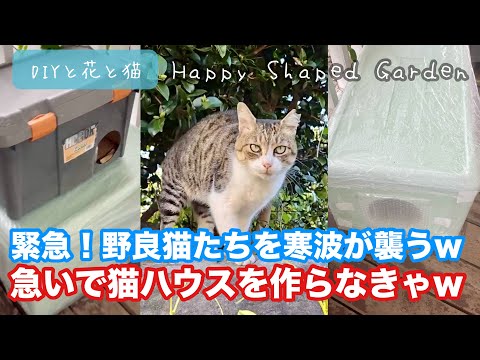 野良猫ハウス】野良猫たちを寒波が襲うw 急いで猫ハウスを作ら